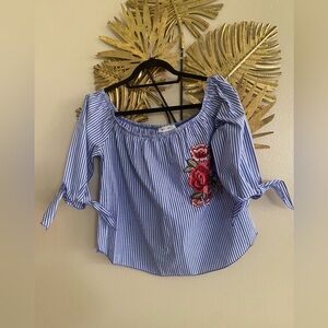 Blue Striped Blouse with Floral Embroidery